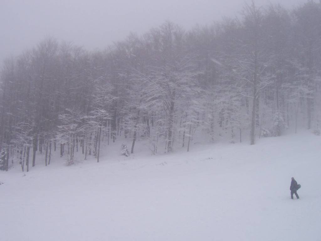 http://assets.in.gr/dGenesis/assets/Content200/Photo/31227_b.jpg