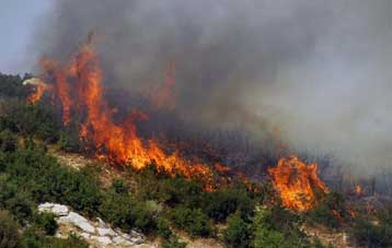 Η εικόνα “http://assets.in.gr/dGenesis/assets/Content5/Photo/827896_b.jpg” δεν μπορεί να προβληθεί επειδή περιέχει σφάλματα.