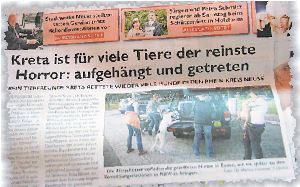 ▅ «Η Κρήτη είναι ο χειρότερος εφιάλτης για πολλά αδέσποτα, τα οποία  βρίσκονται κακοποιημένα, ακόμη  και κρεμασμένα», γράφει γερμανική εφημερίδα   